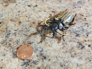Rare Playvisions Macrodontia Beetle Figure