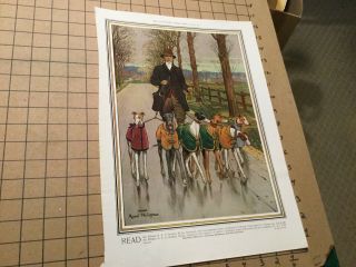Vintage Removed Print - 1914 Dogs In Coats Raoul Philippe