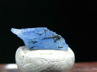 Rare Gem Jeremejevite Crystal From Namibia - 1.  2cm - 1.  25 Carats