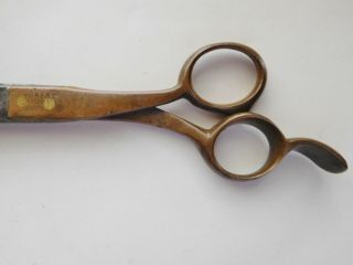Antique Vintage early 1900 ' s Koken Barber Supply Shop Brass Handle Scissors 3