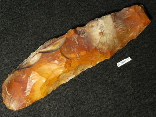8500y.  O: Wonderful Ax Adze 158mms Danish Stone Age Mesolithic Flint Maglemose C