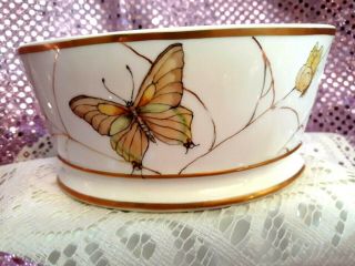 Rare T&v Limoges T&v Porcelain Butterfly Spider Web Gold Art Nouveau Planter
