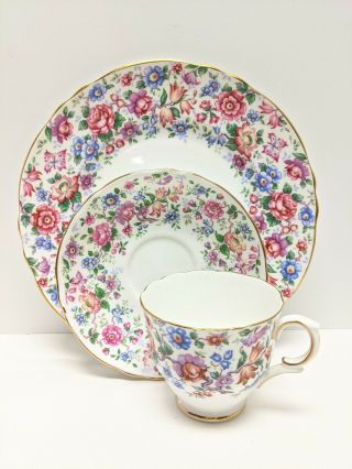 Royal Victoria Tea Cup And Saucer Trio Spring Chintz Teacup Collector Cup