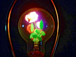 Rare Vintage Aerolux Rose And Leaves Light Bulb In