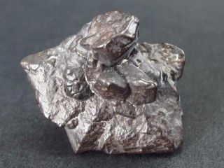 Very Rare 1.  3 " Z Stone Limonite After Marcasite From Sahara