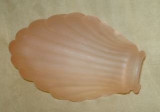 Vintage Mid - Century Pink Satin Frost Scalloped Glass Shell Slip Shade 2 " Fitter