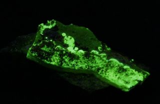 Carnotite,  Weeksite Rare Uranium Micro - Crystals On Matrix Anderson Mine,  Az