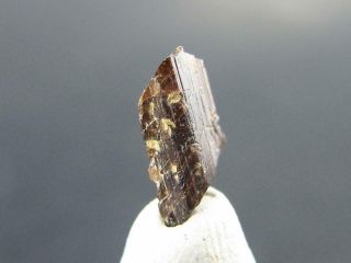Very Rare Painite Crystal From Asia - 1.  40 Carats