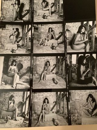 Vintage 8x10 Contact Sheet 50 - 70s Art Posed Nude Eating Grapes By Serge Jacques