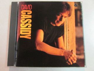 David Cassidy S/t Self Titled 1990 Cd Lyin 