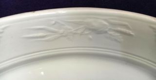Antique Livesley Powell LARGE IRONSTONE CHINA WHEAT PLATTER Porcelain 15 