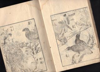 Birds & Flowers Woodblock Print Illustrations Book 19c Japanese Edo Antique
