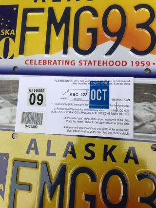 RARE Pair ALASKA STATEHOOD 1959 2009 50 YEARS LICENSE PLATE 50th Plates 3