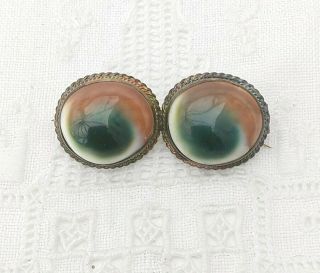 Antique Jewellery Victorian Curiosity Double Operculum Cats Eye Brooch Pin Shell