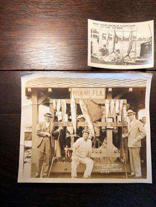 1920s Photo Delaney & Beers Miami Florida Big Game Fishing 9 1/2 " X 8 "