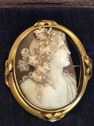 Antique Victorian /edwardian Carved Shell Cameo Brooch/pin A/f