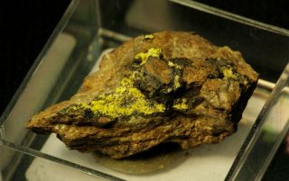 Yingjiangite,  Saléeite Rare Uranium Micro - Crystals On Matrix Fine Tn Italy