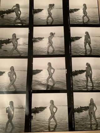 Vintage 8x10 Contact Sheet 50 - 70s Art Posed Nude Beach Play By Serge Jacques