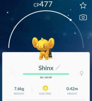 Pokemon Go Shiny Shinx Female Gender Rare Fast Delivery