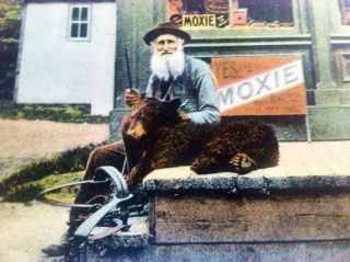 Bear In Trap 2 Moxie Soda Signs Color Litho Real Photo Postcard Rare