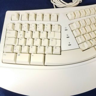 Rare German umlaut Microsoft Ergonomic Natural Keyboard PS2 vtg white LH 2