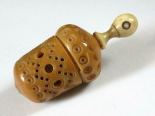 Antique Vegetable Ivory Thimble Holder With Stanhope C.  1870