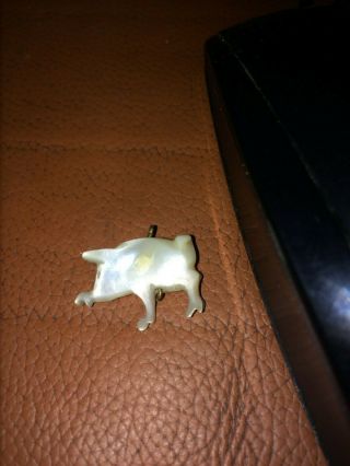 Rare Animal Pig Charm Mother Of Pearl Georgian Or Victorian Antique Fob Loop