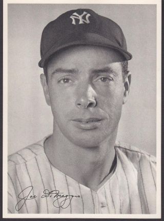 Rare 1948 Ny Yankees Picture Pack Set Of 25 Joe Dimaggio Yogi Berra Phil Rizzuto