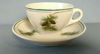 Rare Pine Hurst Pattern N & W Hotel China Cup And Saucer Usa