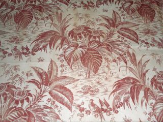Antique 19th French Softened Botanical Floral Bird Cotton Fabric Red Patina