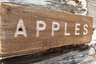 Old Early Primitive Antique Farm Chippy Barn Wood Apples Harvest Fall Sign