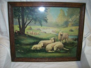 Antique Print Resting Lady With Sheep In Meadow Wood And Glass Frame