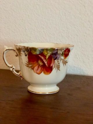 Rare J.  A Bailey Aynsley Cabbage Rose Teacup And Saucer 2