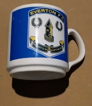 Everton Football Club Rare 1970s Mug Carrigaline Pottery Republic Of Ireland Efc