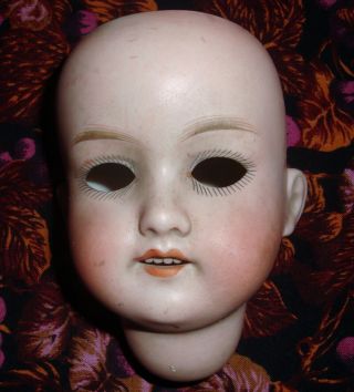 Antique Armand Marseille Bisque Socket Doll Head 390n Drgm 246/1 - A0 1/2m