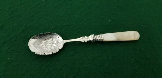 Antique 1901 Cooper Bros Jam Preserve Spoon Mother Of Pearl Handle Silver Collar