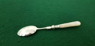 Antique 1901 Cooper Bros Jam Preserve Spoon Mother of Pearl Handle Silver Collar 3