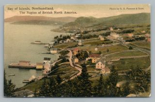 Bay Of Islands Newfoundland " Naples Of British North America " Antique Postcard