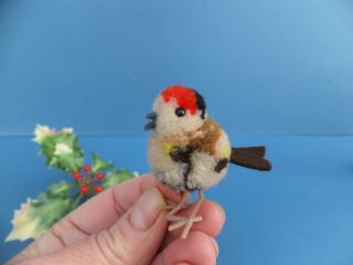 Old Vintage Antique Miniature German Steiff Finch Bird Wool Pom Pom Toy Bear