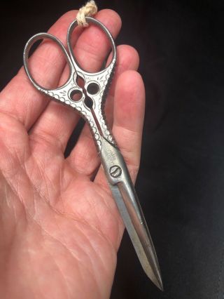 Antique Vintage German Steel Scissors Sewing Crafts Embroidery C.  F.  Hovey & Co