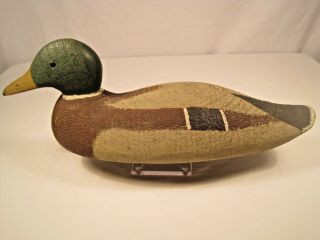 Vintage Victor Animal Trap Mallard Drake Wooden Duck Decoy 2 Mammoth 1918 - 1938