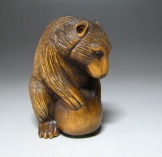 Wooden Bear Netsuke 玉石 Sign Japanese Antique Vintage Japan Inro Ojime Rare