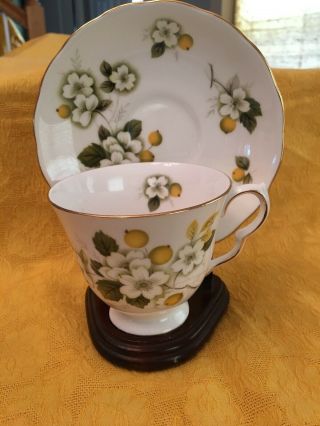 Vintage Fine China Tea Cup & Saucer Queen Anne Bone China Made In England