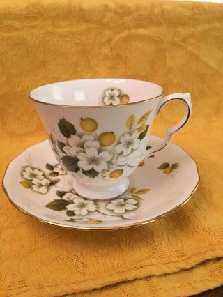 VINTAGE FINE CHINA TEA CUP & SAUCER Queen Anne Bone China Made In England 2