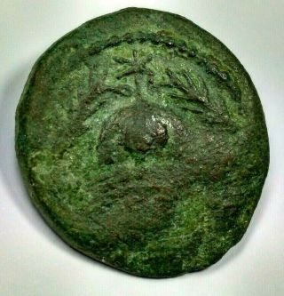 Rare Large Bronze 2.  5cm Herod The Great Coin /240