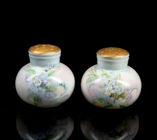 Vintage Hand Painted Floral Porcelain Salt And Pepper,  " Made In Japan "