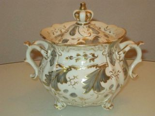 Stunning Antique Rockingham Porcelain Lidded Sugar Bowl