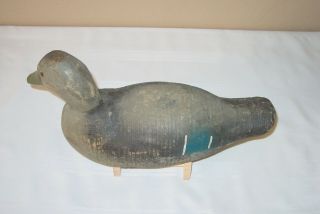 Rare Animal Trap Victor Glass Eye Mallard Hen Turned Head Wooden Duck Decoy