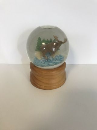 L.  L.  Bean Moose Snow Globe Very Rare - - Collectible Item