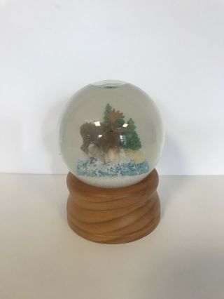 L.  L.  Bean Moose Snow Globe Very Rare - - Collectible Item 3